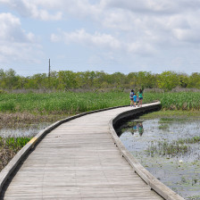 Exploring a scenic boardwalk on the Creole Nature Trail All American Road in Lake Charles, Louisiana